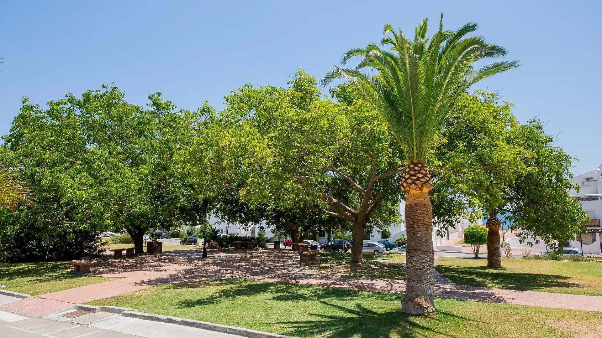 Apartamento Los Pelicanos 103 Manilva